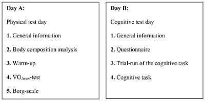 Cardiorespiratory Fitness Is Associated with Selective Attention in Healthy Male High-School Students